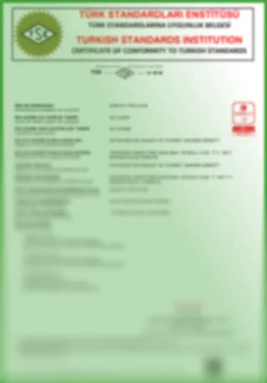 Sertifika 3