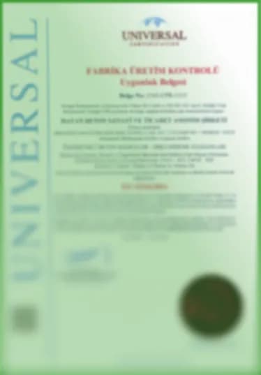 Sertifika 7